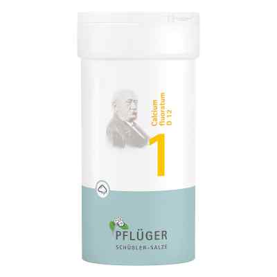 Biochemie Pflueger 1 Calcium fluor.D 12 Pulver 100 g od Homöopathisches Laboratorium Ale PZN 06323112