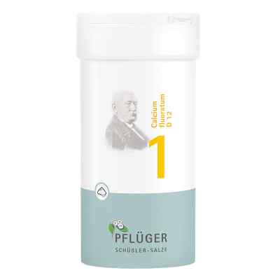 Biochemie Pflueger 1 Calcium fluor.D 12 Pulver 100 g od Homöopathisches Laboratorium Alexander Pflüger Gmb PZN 06323112