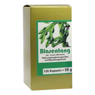 Blasentang kapsułki 120 szt. od FBK-Pharma GmbH PZN 00004877