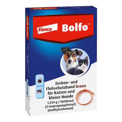 Bolfo obroża p/pchłom dla małych psów i kotów 1 szt. od Elanco Deutschland GmbH PZN 02756305