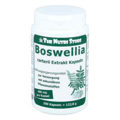 Boswellia Carterii 400 mg ekstrakt z kadzidłowca kapsułki vegańs 200 szt. od Hirundo Products PZN 07779529
