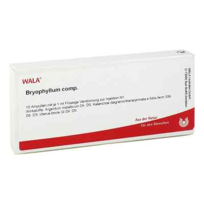 Bryophyllum Comp. ampułki 10X1 ml od WALA Heilmittel GmbH PZN 02085213