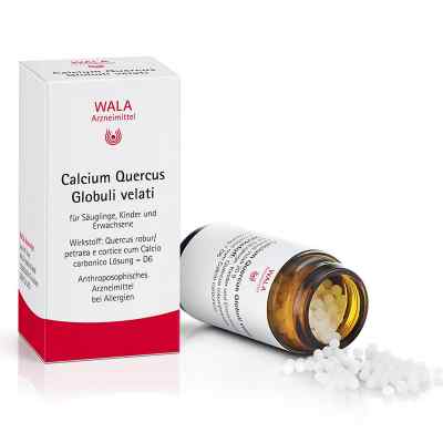 Calcium Quercus Globuli velati 20 g od WALA Heilmittel GmbH PZN 00081091