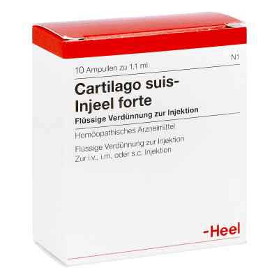 Cartilago Suis Injeele forte 1,1 ml