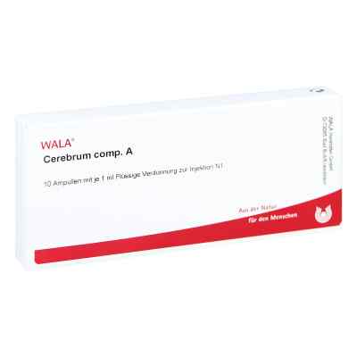 Cerebrum Comp. A ampułki 10X1 ml od WALA Heilmittel GmbH PZN 01751151