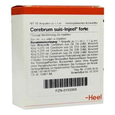 Cerebrum Suis Injeele forte 1,1 ml