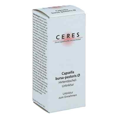 Ceres Capsella bursa-pastoris, tinktura macierzysta