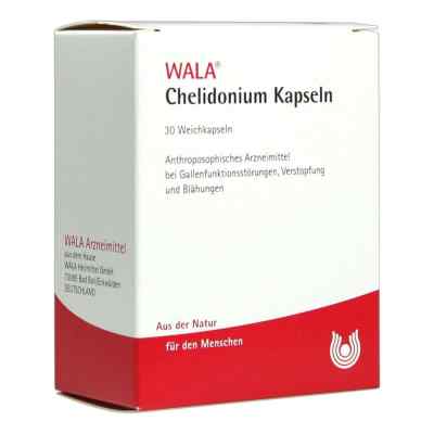Chelidonium kapsułki 30 szt. od WALA Heilmittel GmbH PZN 01448062
