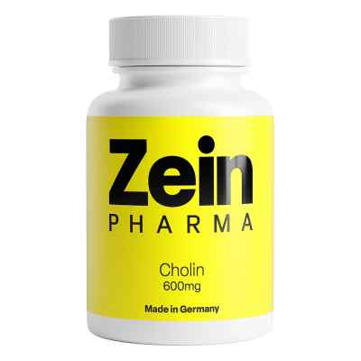 Cholina 600 mg Kapsułki 60 szt. od ZeinPharma Germany GmbH PZN 13475897