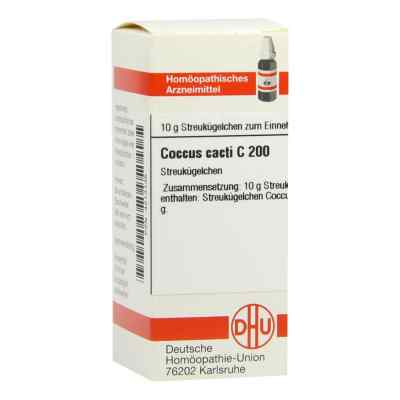 Coccus Cacti C 200 Globuli 10 g od DHU-Arzneimittel GmbH & Co. KG PZN 04213135