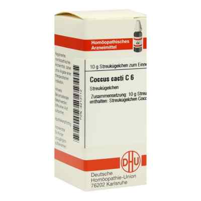 Coccus Cacti C 6 Globuli 10 g od DHU-Arzneimittel GmbH & Co. KG PZN 04213112