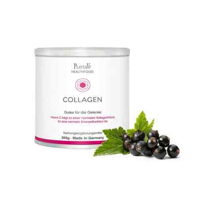 Collagen Gutes für die Gelenke Pulver