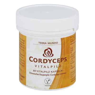 Cordyceps Vitalpilz Terra Mundo kapsułki 60 szt. od Terra Mundo GmbH PZN 02250988