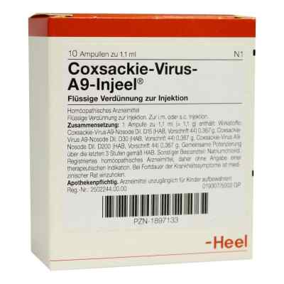 Coxsackie Virus A9 Nosoden Injeele 1,1 ml