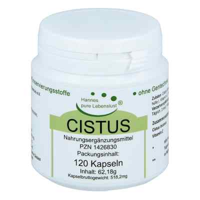 Czystek w kapsułkach wegetariańskich  120 szt. od G & M Naturwaren Import GmbH & Co. KG PZN 01426830