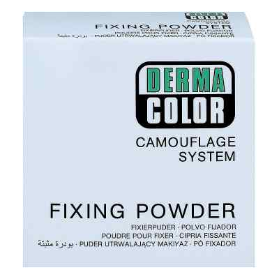 Dermacolor Camouflage Fixierpuder large P1 60 g od Kryolan GmbH PZN 15820140