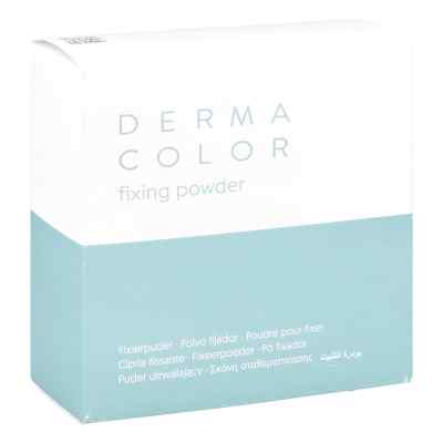 Dermacolor Camouflage Fixierpuder large P11 60 g od Kryolan GmbH PZN 15820157