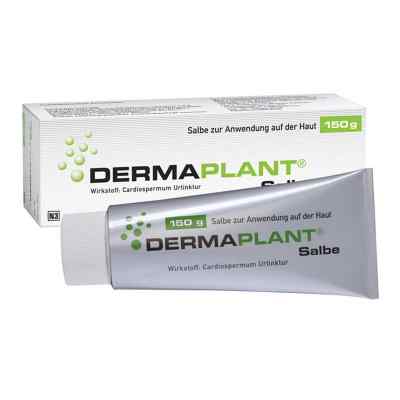 Dermaplant Salbe 150 g od Dr.Willmar Schwabe GmbH & Co.KG PZN 01713535