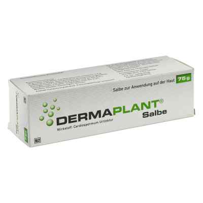 Dermaplant Salbe 75 g od Dr.Willmar Schwabe GmbH & Co.KG PZN 01713529