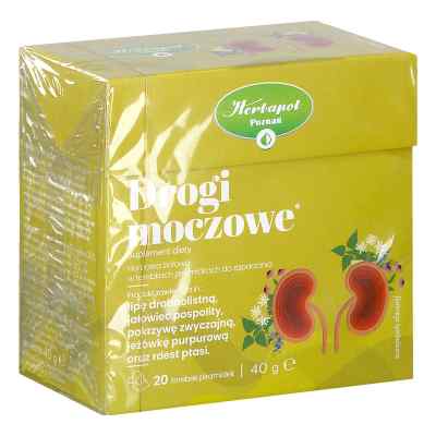 Drogi Moczowe