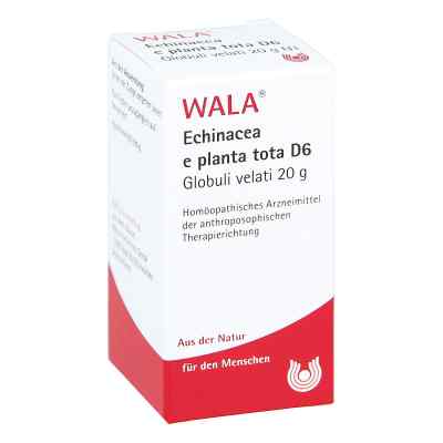 Echinacea E Planta Tota D 6 Globuli 20 g od WALA Heilmittel GmbH PZN 08785704