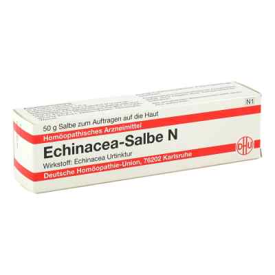 Echinacea Hab Salbe N 50 g od DHU-Arzneimittel GmbH & Co. KG PZN 01055316
