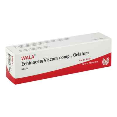 Echinacea/viscum comp. żel homeopatyczny 30 g od WALA Heilmittel GmbH PZN 02198348