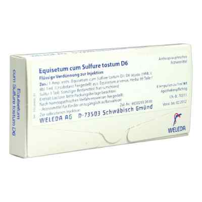 Equisetum Cum Sulf. Tost. D 6 ampułki 8X1 ml od WELEDA AG PZN 01621945