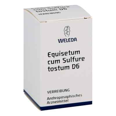 Equisetum Cum Sulf. Tost. D 6 proszek 20 g od WELEDA AG PZN 01616111