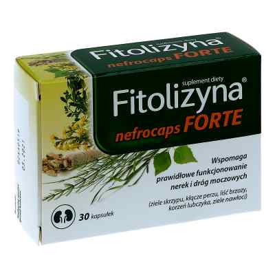 Fitolizyna nefrocaps forte kapsułki 30  od ZAKŁADY FARMACEUTYCZNE POLPHARMA PZN 08300080