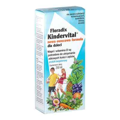 Floradix Kindervital Nowa Owocowa Formuła (Floradix Odporność) 250 ml od SALUS HAUS PZN 08303042