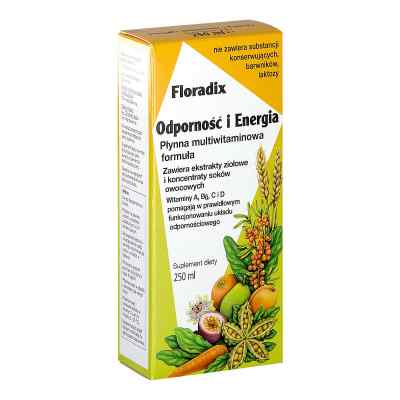 Floradix Odporność i Energia (Floradix Odporność) 250 ml od SALUS HAUS DR.MED. OTTO GREITHER PZN 08301472