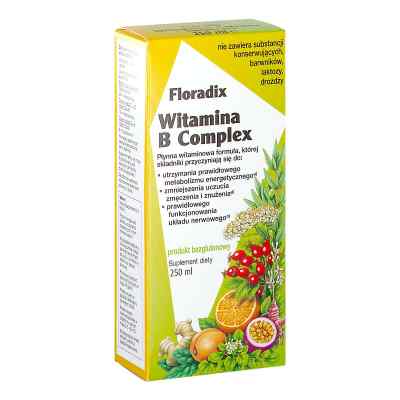 Floradix Witamina B Complex 250 ml od SALUS HAUS PZN 08303043