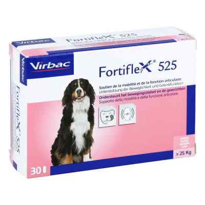 Fortiflex 525 tabletki 30 szt. od Virbac Tierarzneimittel GmbH PZN 01657966