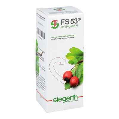 Fs 53 Dr.siegerth H fluessig 100 ml od Dr. F. u. C.-H. Siegerth Naturheilmittel GmbH PZN 04202433