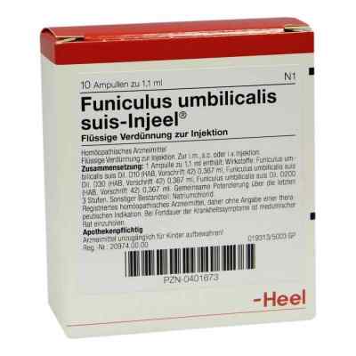 Funiculus Umbilical. Suis Injeele 1,1 ml ampułki 10 szt. od Biologische Heilmittel Heel GmbH PZN 00401673