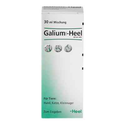 Galium Comp. Heel Tropfen ad. us. vet. 30 ml od Biologische Heilmittel Heel GmbH PZN 04658050