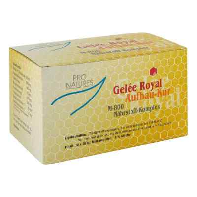 Gelee Royal Aufbaukur M800 ampułki do picia 14X20 g od IMOPHARM pharm.Handelsges.mbH PZN 00014812