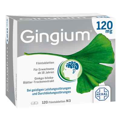 Gingium 120 mg tabletki powlekane 120 szt. od Hexal AG PZN 14171188