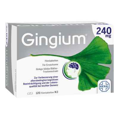 Gingium 240 mg tabletki powlekane 120 szt. od Hexal AG PZN 14171113