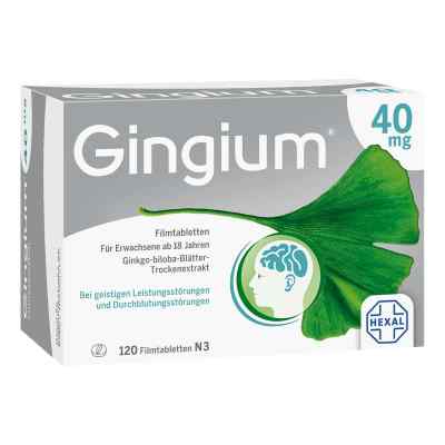 Gingium 40 mg Filmtabl. 120 szt. od Hexal AG PZN 08832734