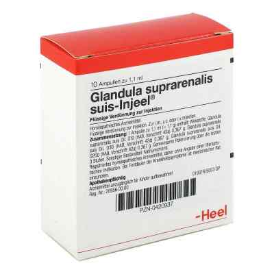 Glandula Supraren. Suis Injeele 1,1 ml 10 szt. od Biologische Heilmittel Heel GmbH PZN 00420937