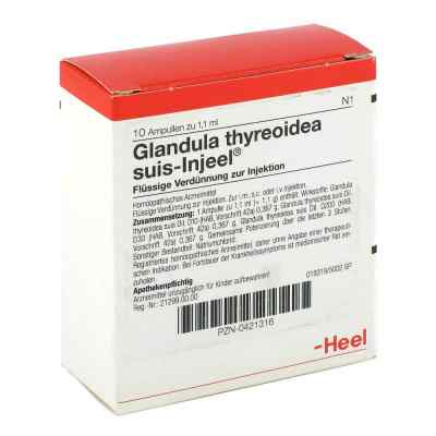Glandula Thyreoidea Suis Injeele 1,1 ml ampułki 10 szt. od Biologische Heilmittel Heel GmbH PZN 00421316