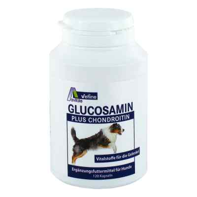 Glucosamin + Chondroitin kapsułki dla psów 120 szt. od Avitale GmbH PZN 03025791