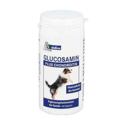 Glucosamin + Chondroitin kapsułki dla psów 60 szt. od Avitale GmbH PZN 03025727