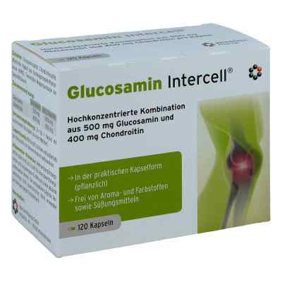Glucosamin Intercell kapsułki 120 szt. od INTERCELL-Pharma GmbH PZN 09627574