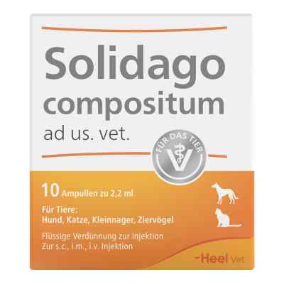 Heel Solidago Compositum ampułki weterynaryjne 10 szt. od Biologische Heilmittel Heel GmbH PZN 01219864
