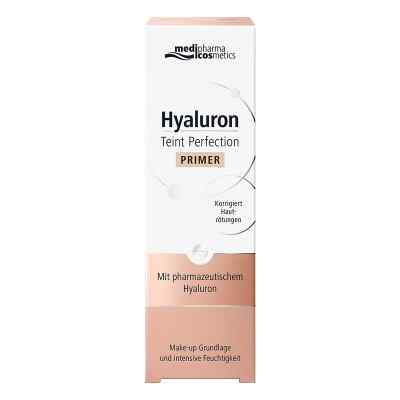 Hyaluron Teint Perfection baza pod makijaż 30 ml od Dr. Theiss Naturwaren GmbH PZN 13947600