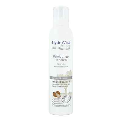 Hydrovital Premium Reinigungsschaum