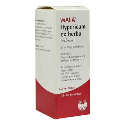 Hypericum Ex Herba 5% Oleum 50 ml od WALA Heilmittel GmbH PZN 01753635
